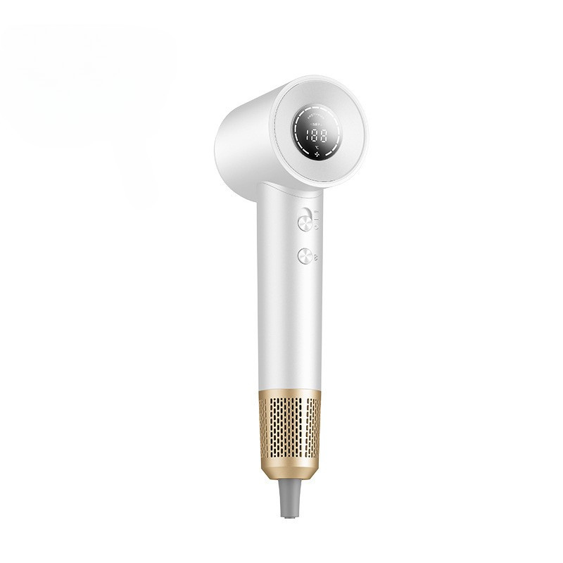 TurboDry - Professional Ionic Speed Hair Dryer
