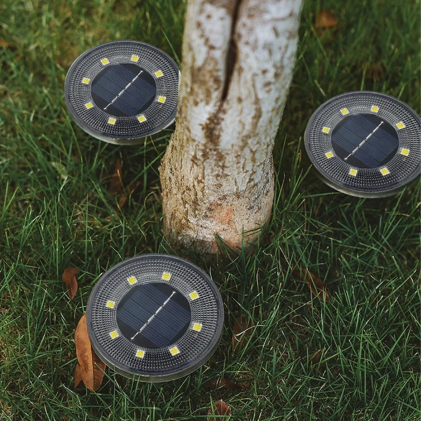 GreenGlow - Solar Outdoor Lamps