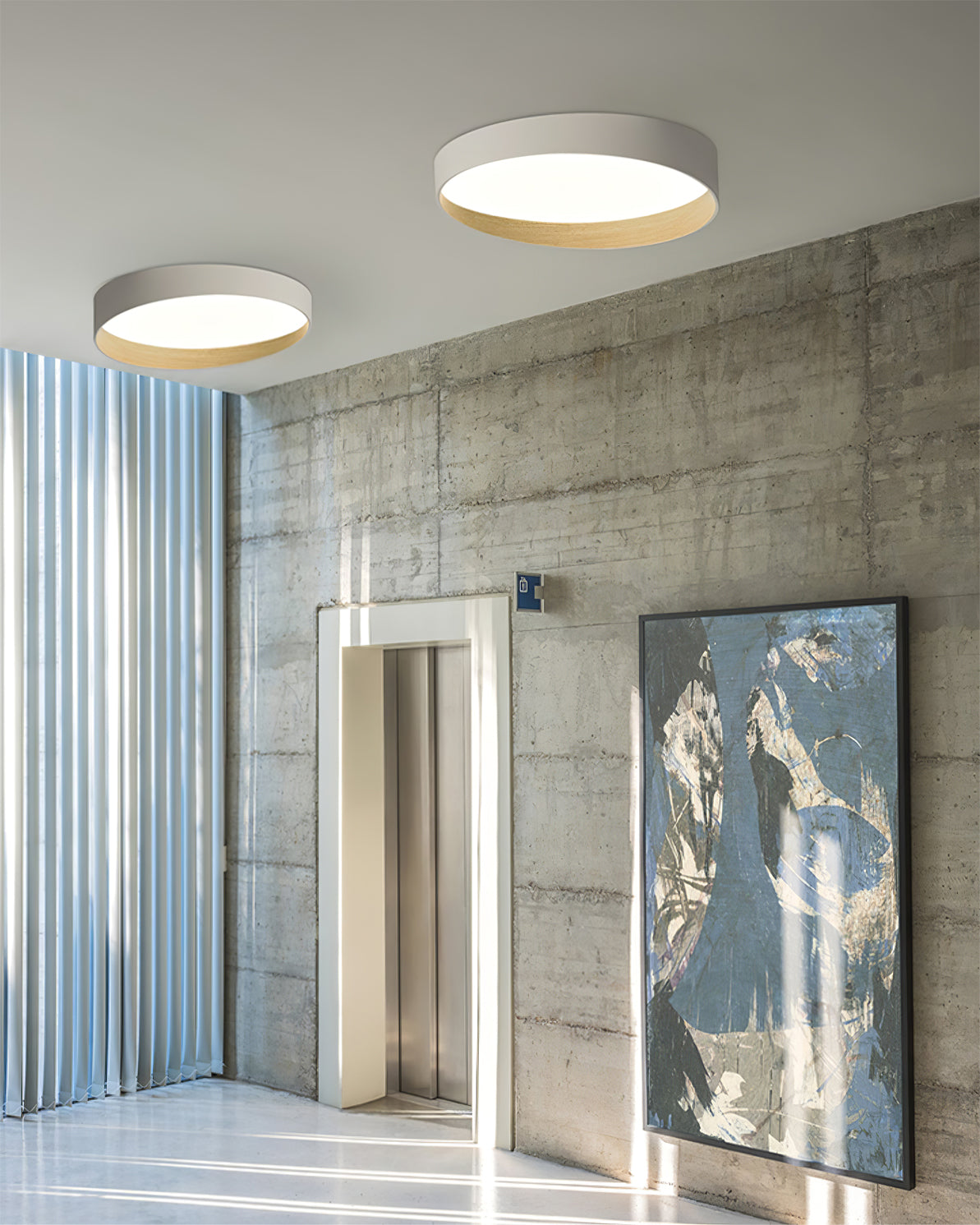 LuxeFinish - Ceiling Lamp with Elegant Design and Soft Glow