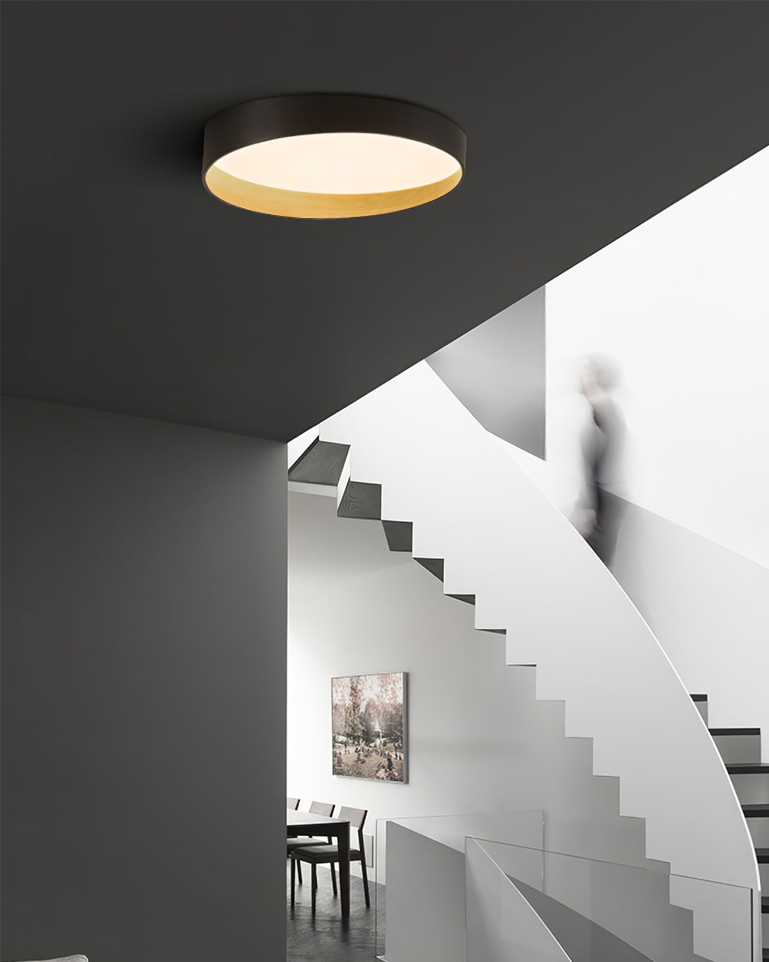 LuxeFinish - Ceiling Lamp with Elegant Design and Soft Glow