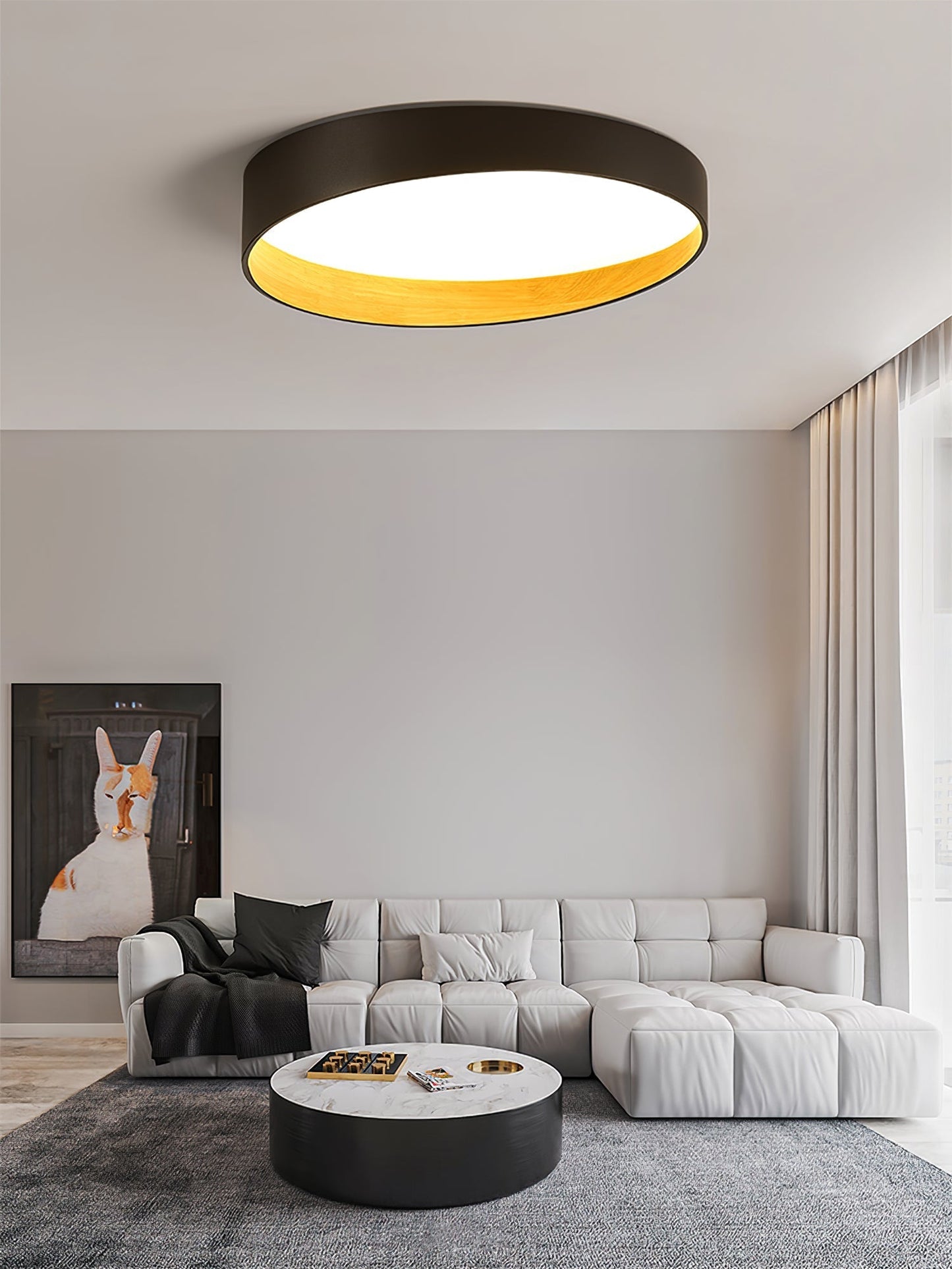 LuxeFinish - Ceiling Lamp with Elegant Design and Soft Glow