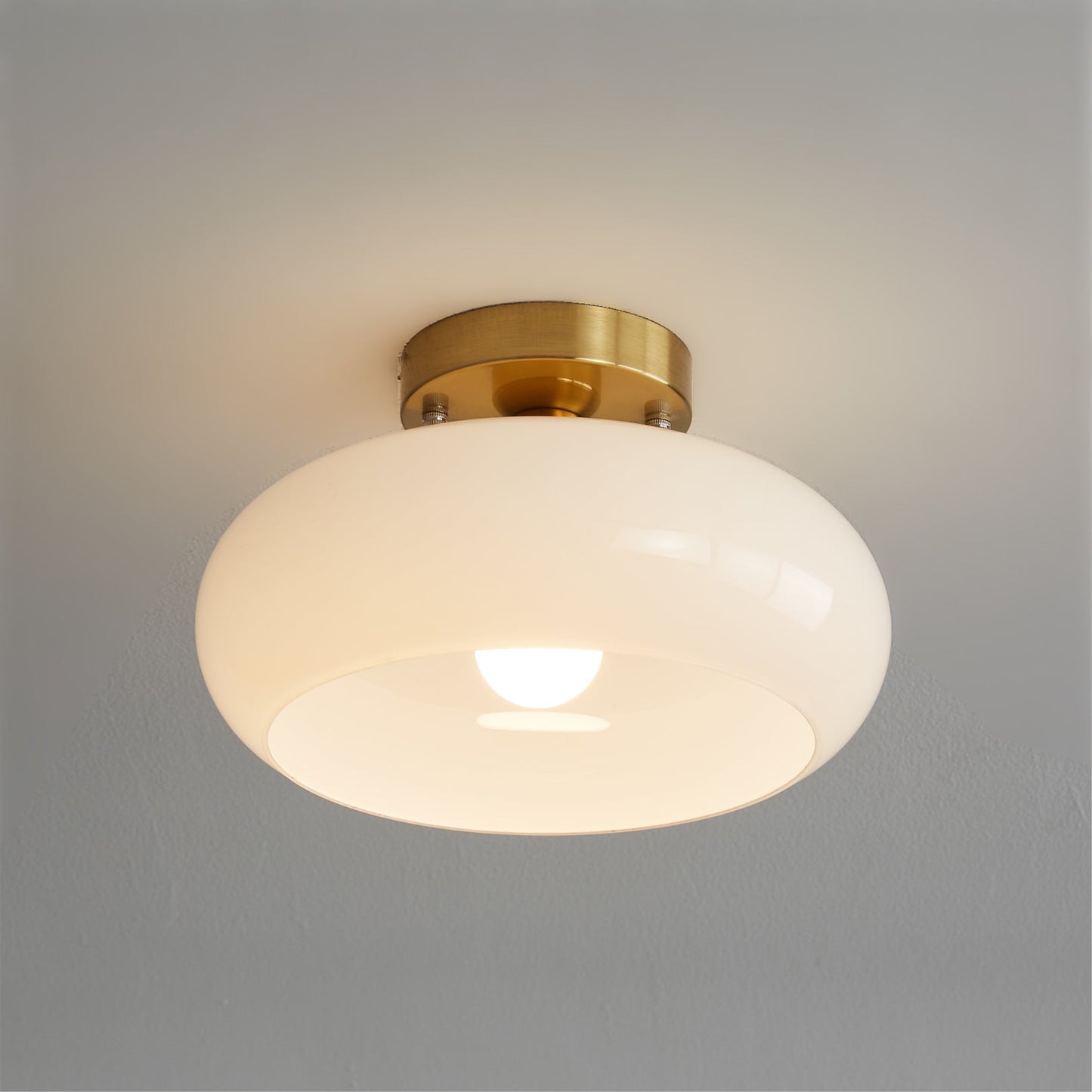 LuxeHailie - Ceiling Light with Sleek Style and Gentle Radiance