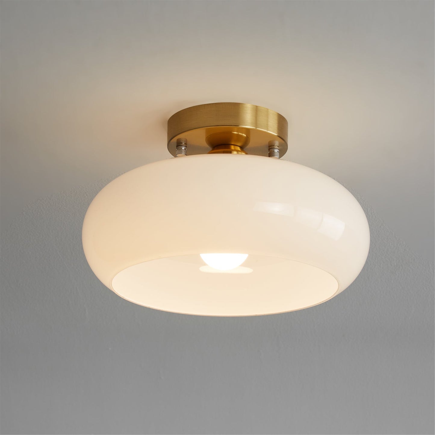 LuxeHailie - Ceiling Light with Sleek Style and Gentle Radiance