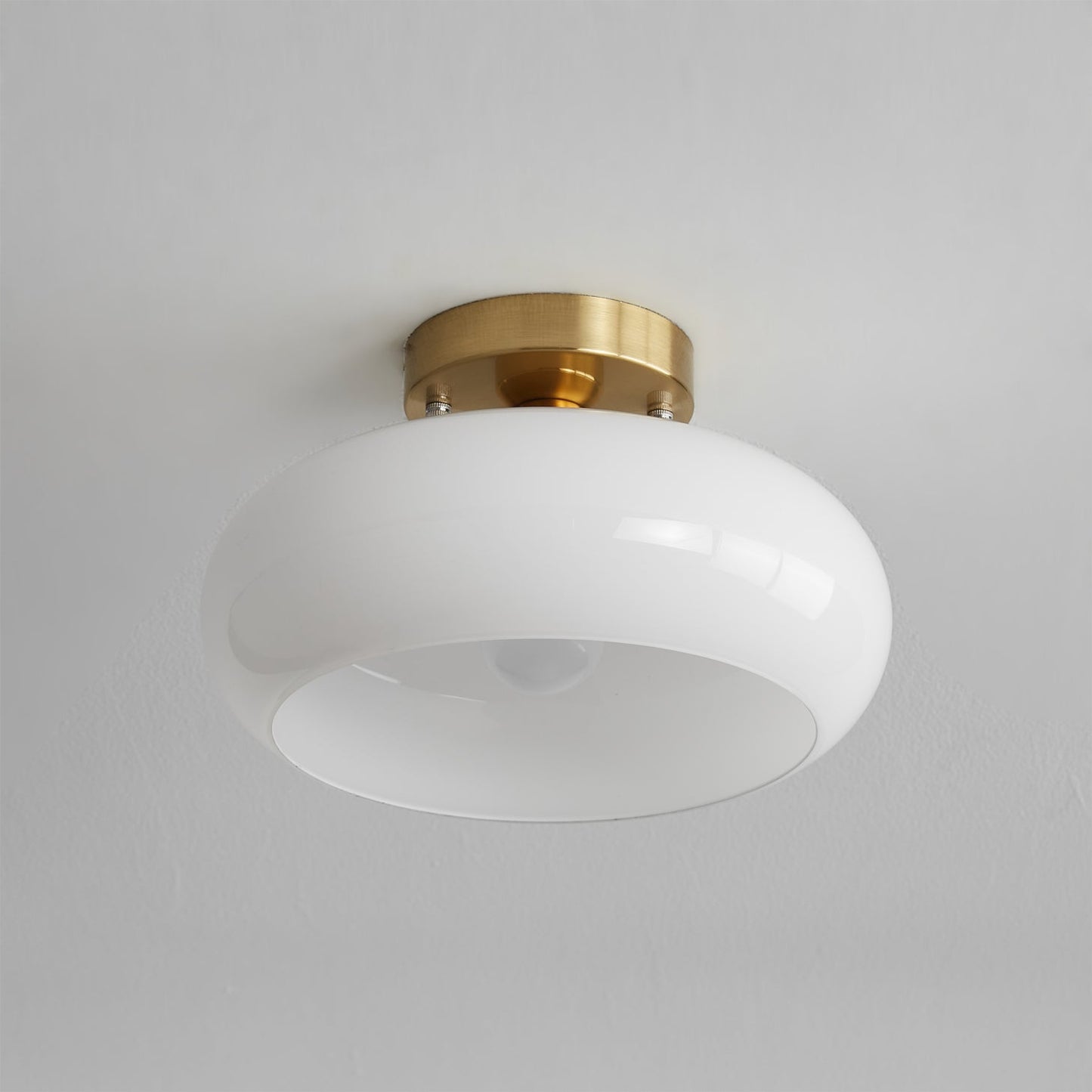 LuxeHailie - Ceiling Light with Sleek Style and Gentle Radiance