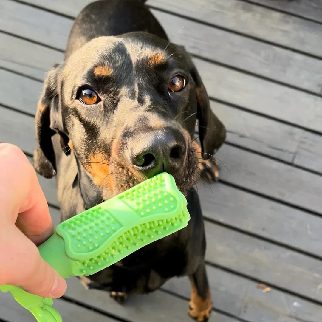 CalmingTeeth - Durable Dog Chew Toy Toothbrush