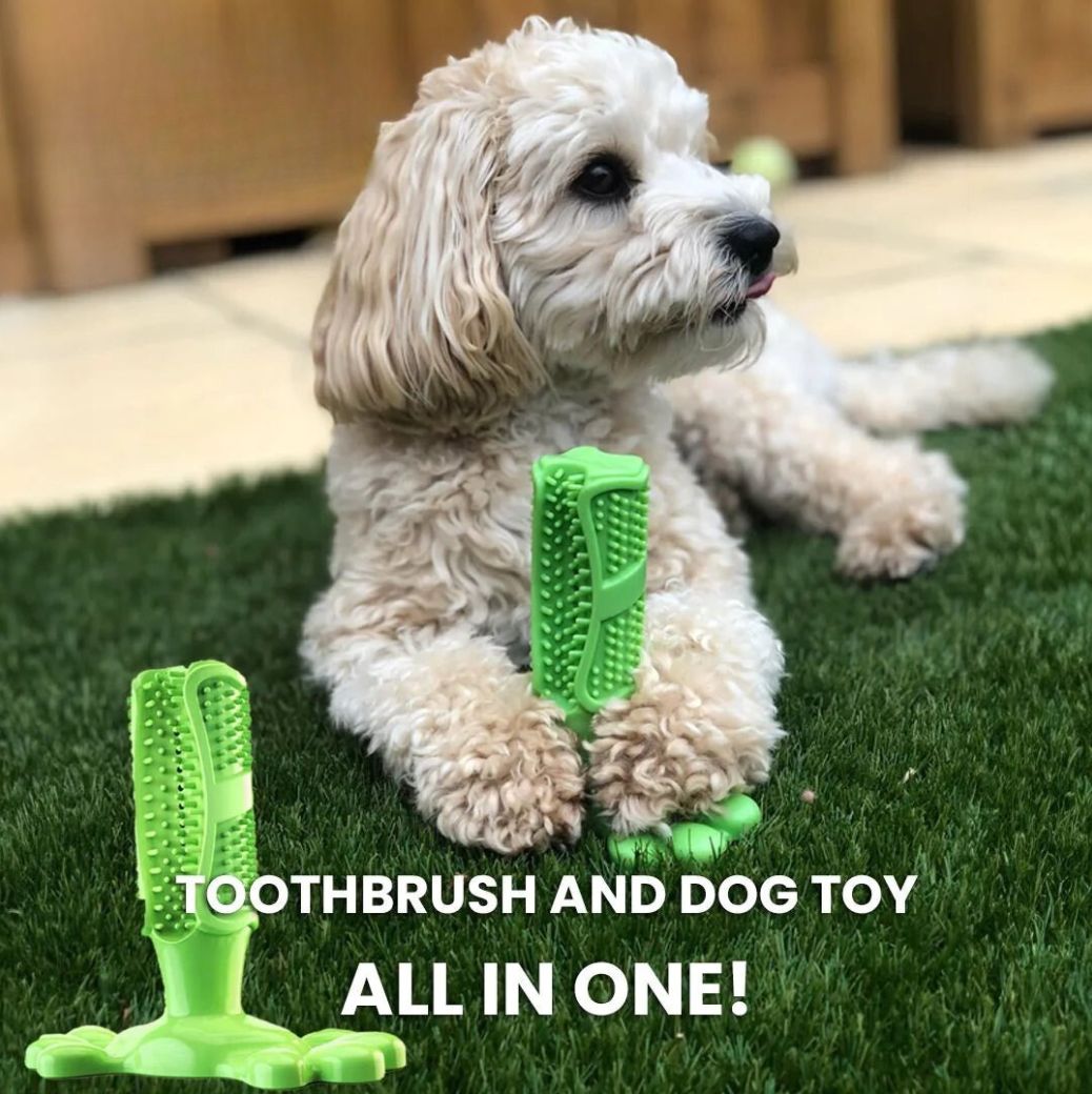 CalmingTeeth - Durable Dog Chew Toy Toothbrush