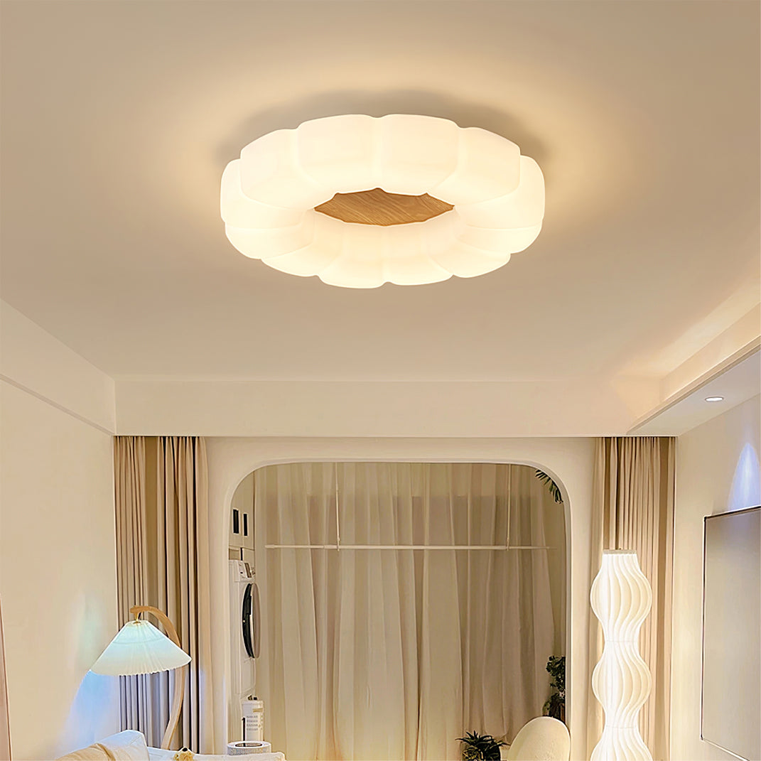 NubiLuxe - Ceiling Lamp with Contemporary Design and Cozy Illumination