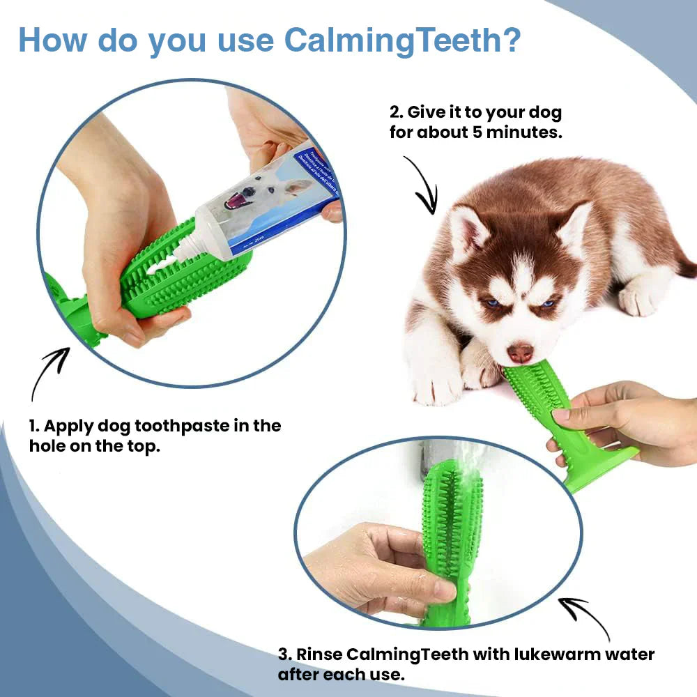 CalmingTeeth - Durable Dog Chew Toy Toothbrush