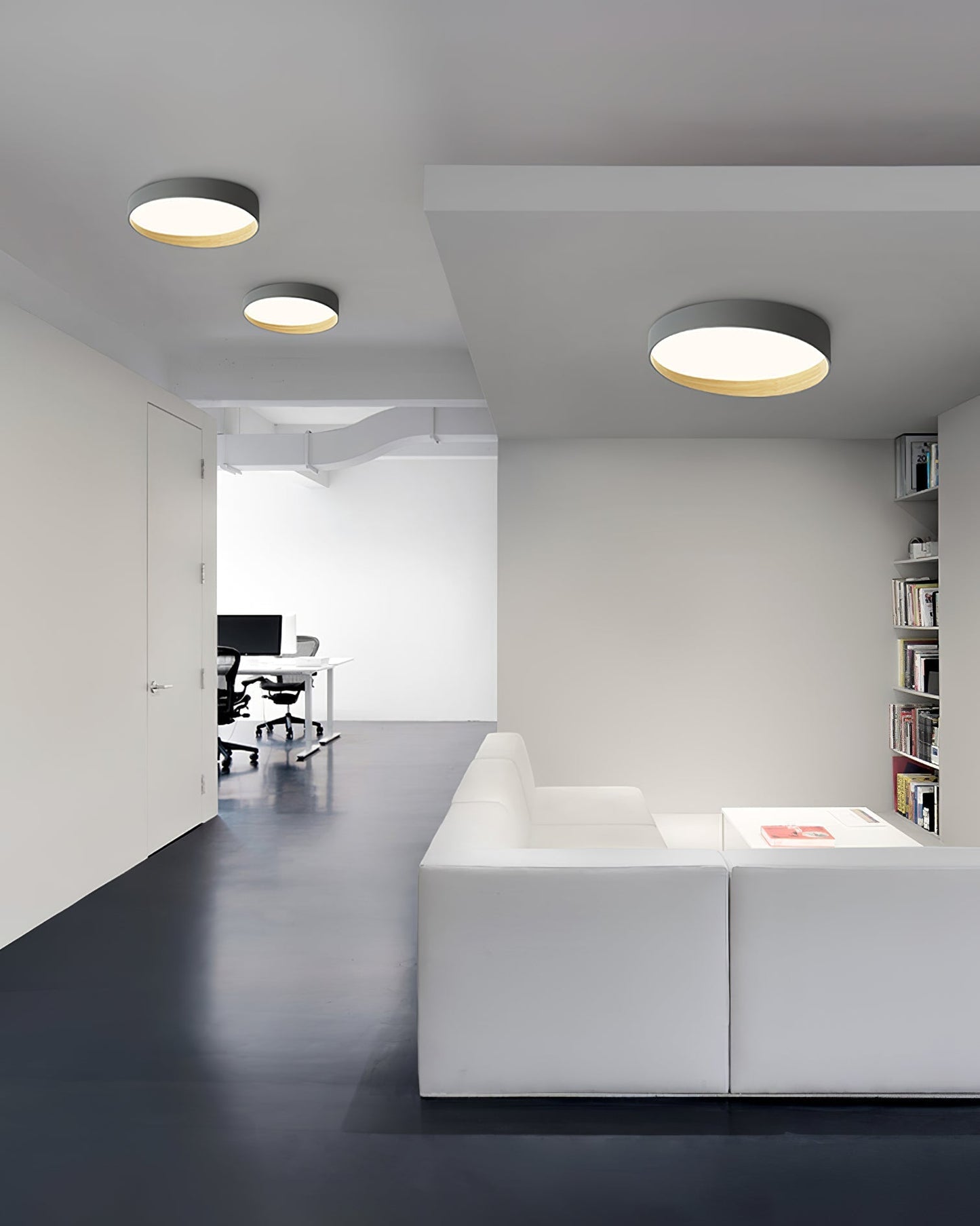 LuxeFinish - Ceiling Lamp with Elegant Design and Soft Glow