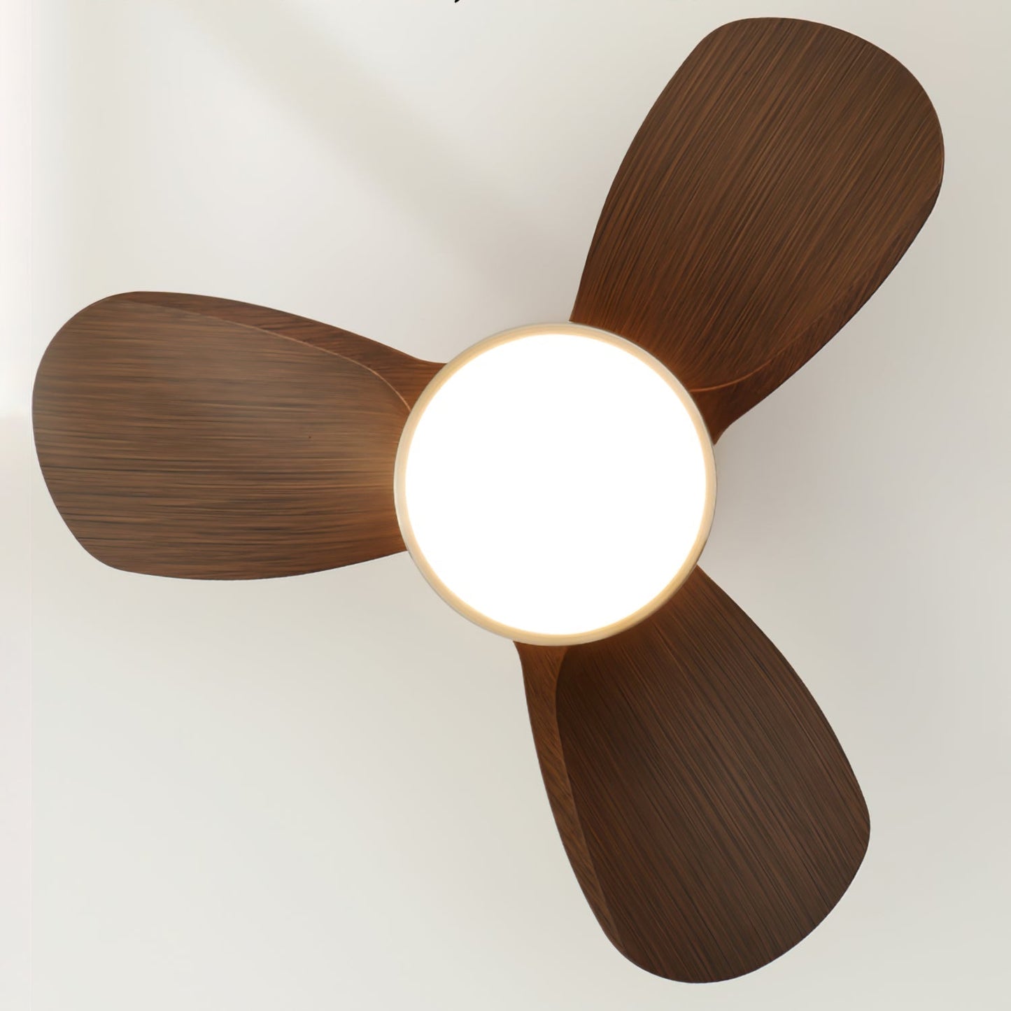 TalayaGlow - Ceiling Fan with Contemporary Design and Warm Lighting