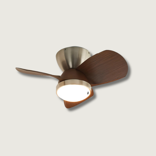 TalayaGlow - Ceiling Fan with Contemporary Design and Warm Lighting