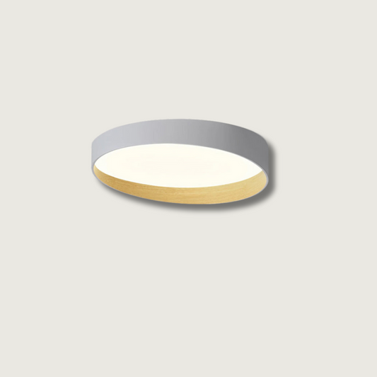LuxeFinish - Ceiling Lamp with Elegant Design and Soft Glow